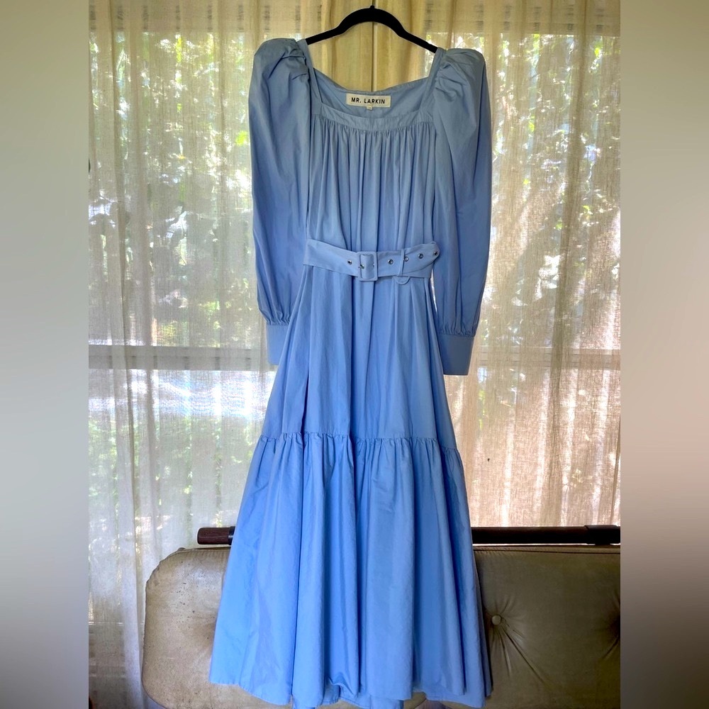 Mr Larkin Ode Dress (no longer in production)